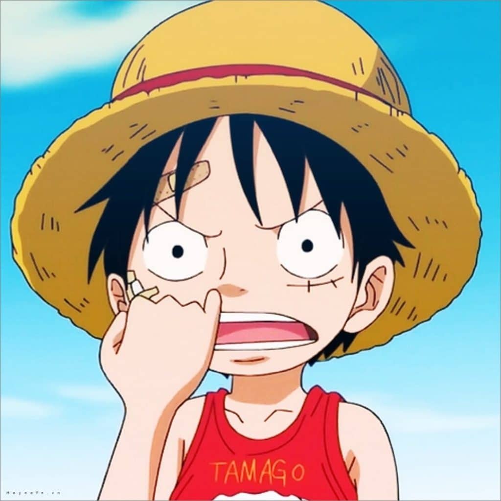 Ghim của valentinamaddox trên Monkey D Luffy | Anime, Hình vui, One piece