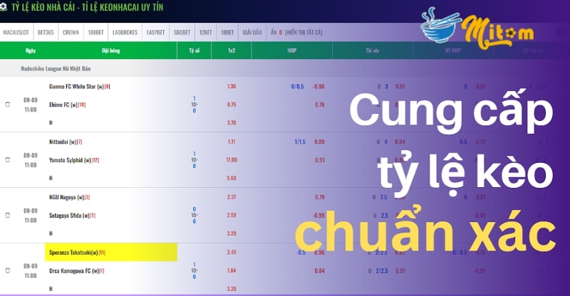 Mitom TV cung cấp tỷ lệ kèo chuẩn xác